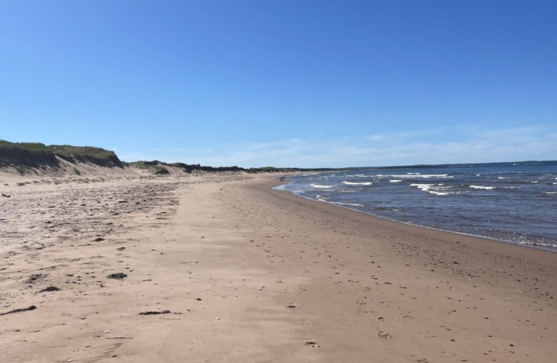 Photo of Others in West Covehead