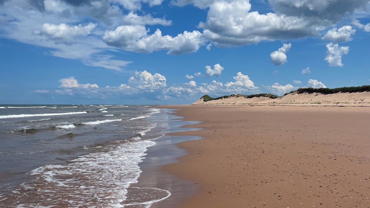 Photo of Others in West Covehead