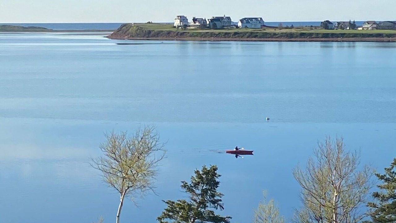 Photo of Others in West Covehead