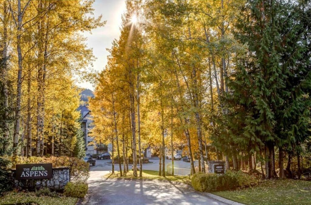 Photo of Outdoor in Upper Village