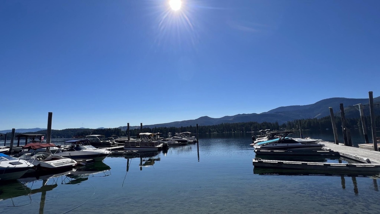 Photo of Others in Sproat Lake