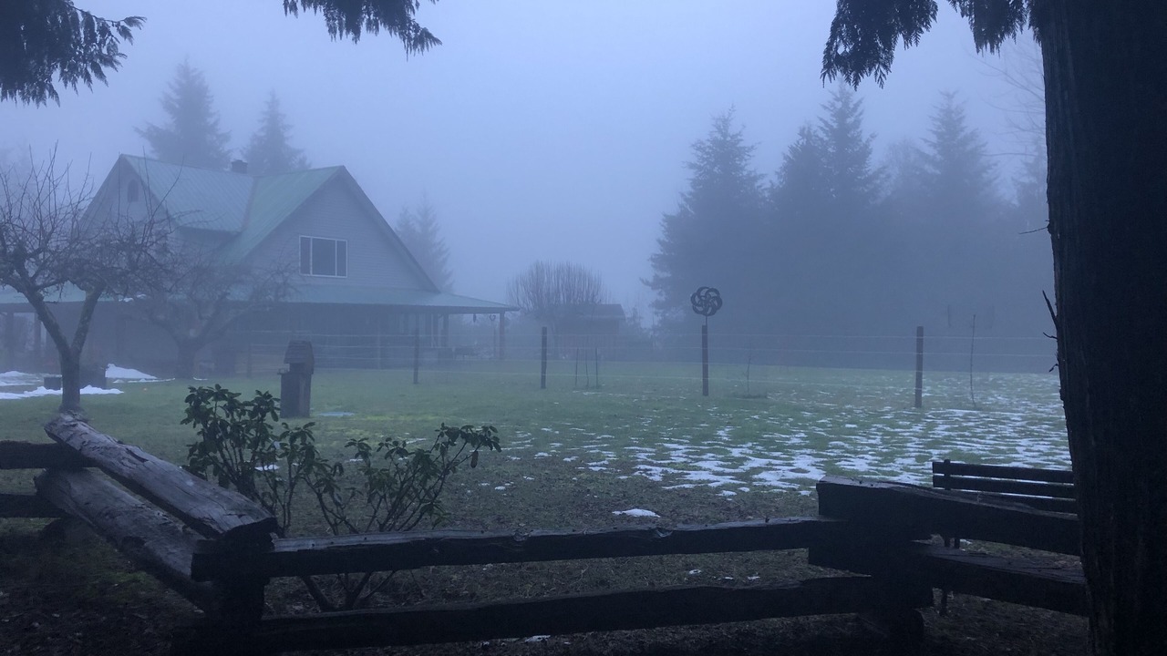Photo of Outdoor in Regional District of Nanaimo