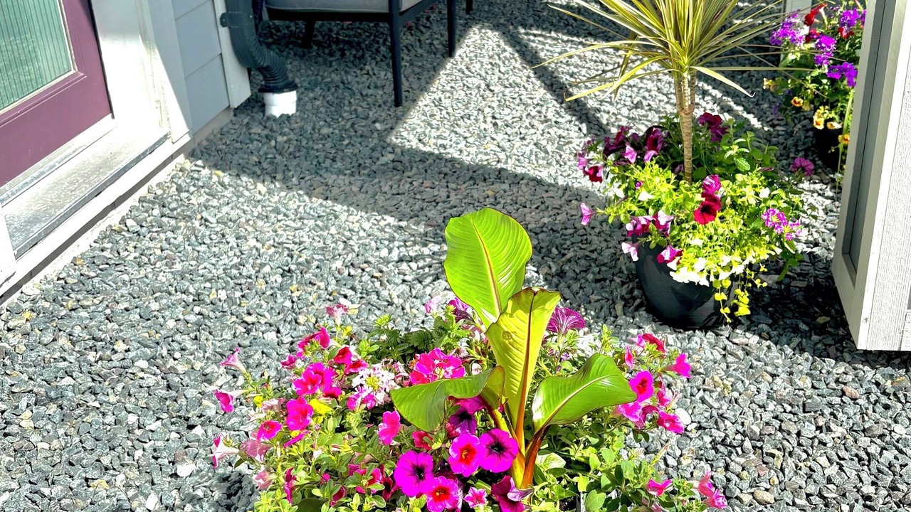 Photo of Outdoor in Colwood
