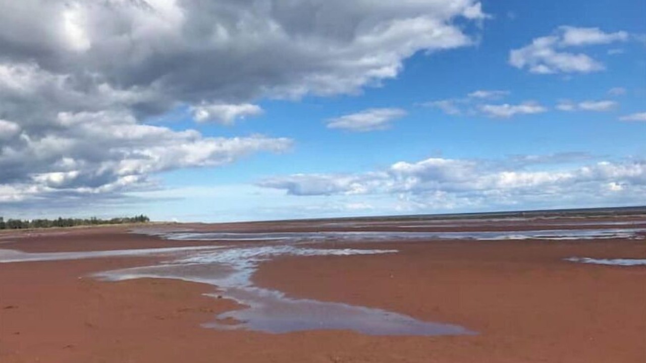 Photo of Others in Bayfield