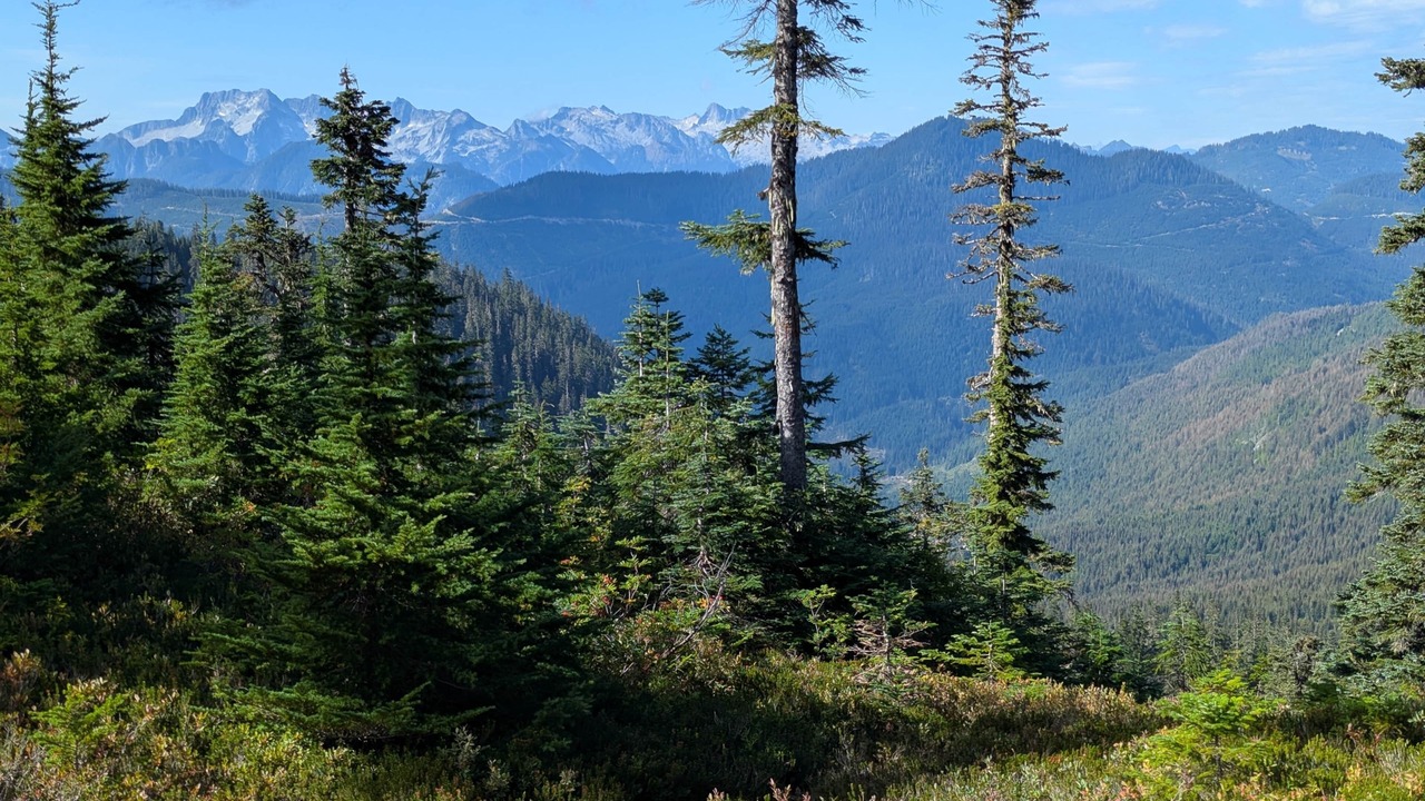 Photo of Outdoor in Hemlock Valley