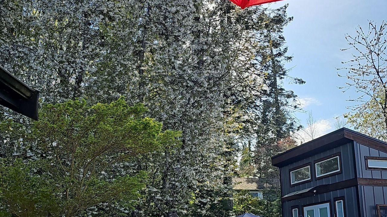 Photo of Outdoor in Campbell River