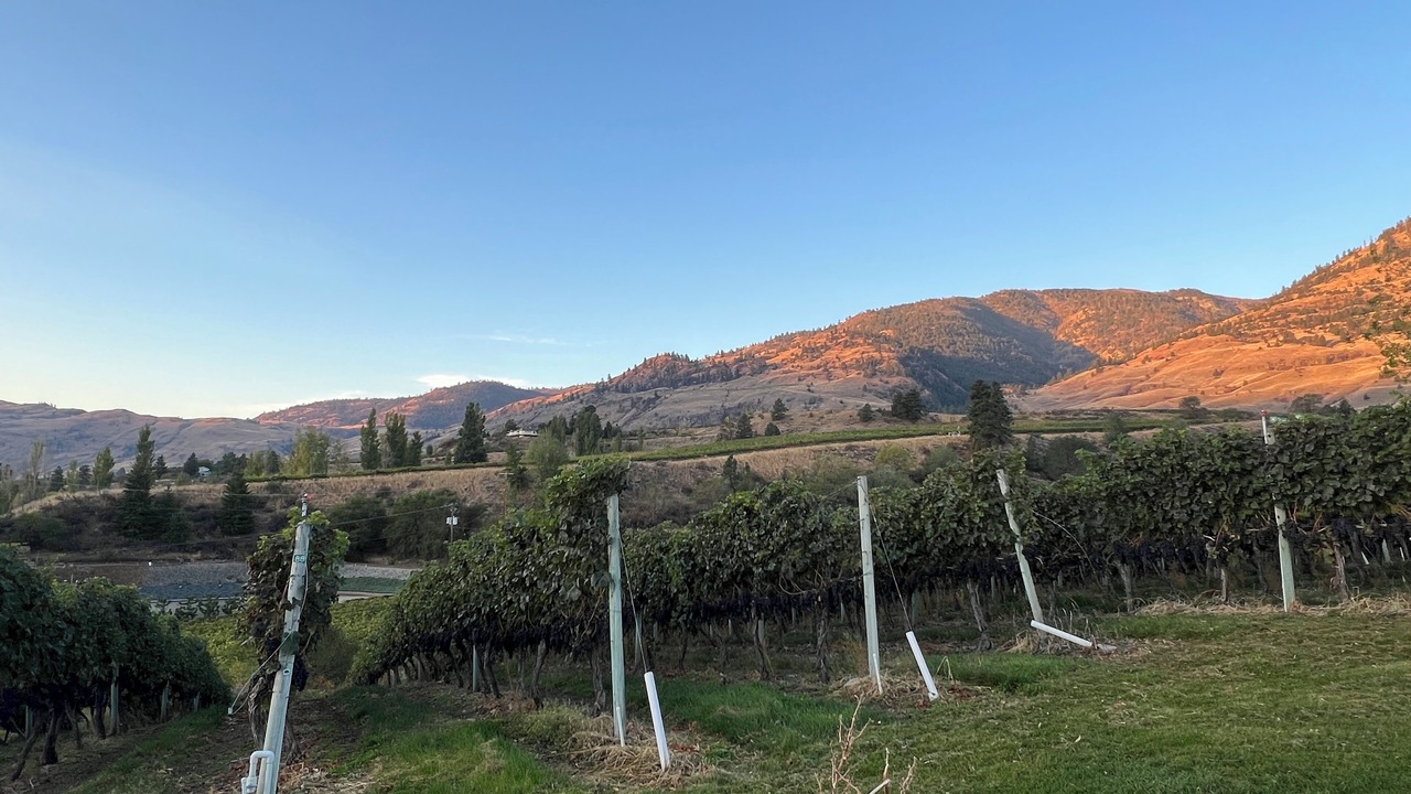 Photo of Outdoor in Oliver