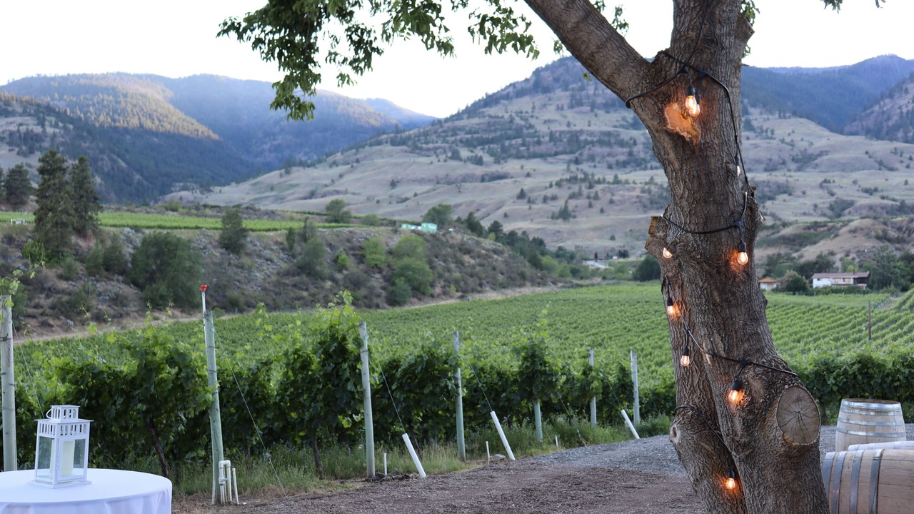 Photo of Outdoor in Oliver