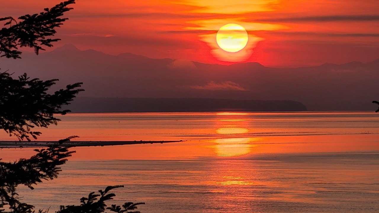 Photo of Outdoor in Campbell River