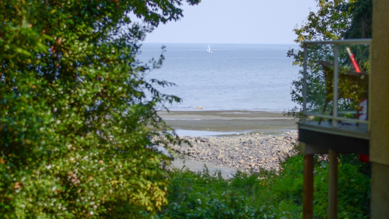 Photo of Others in Courtenay
