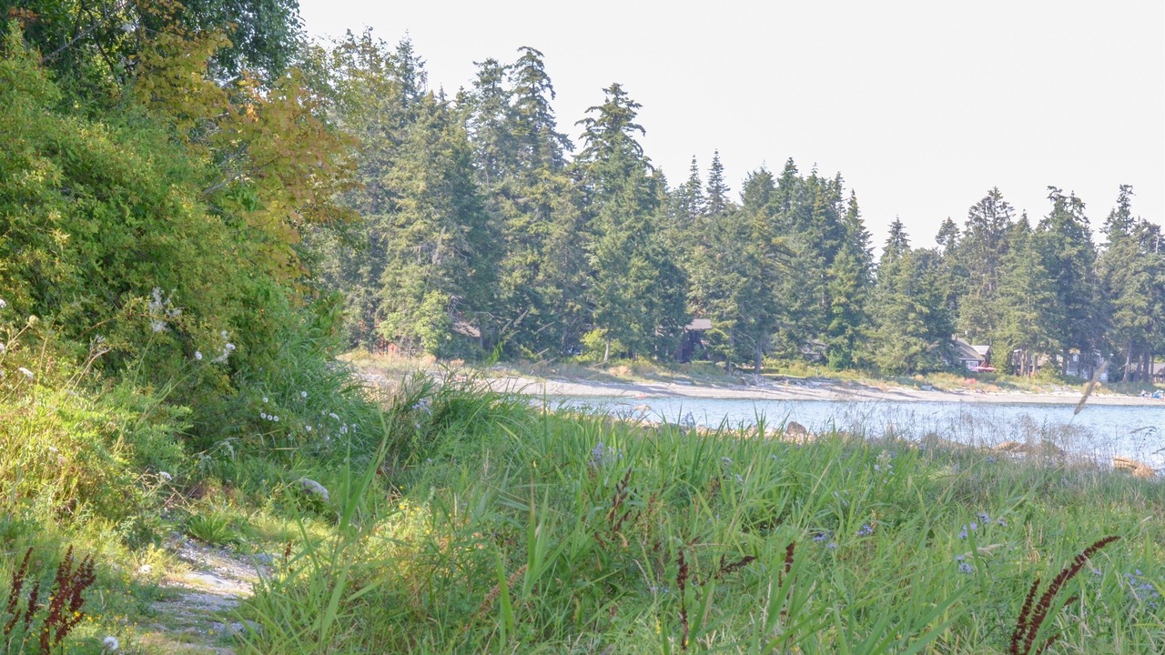 Photo of Others in Courtenay
