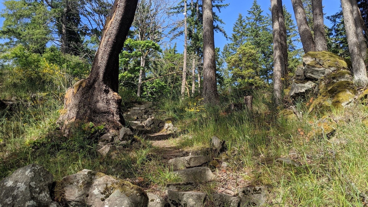Photo of Outdoor in Pender Island