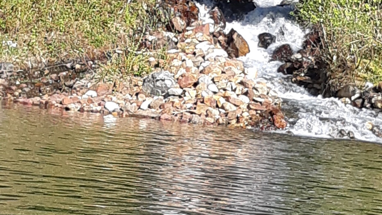 Photo of Others in Craigellachie