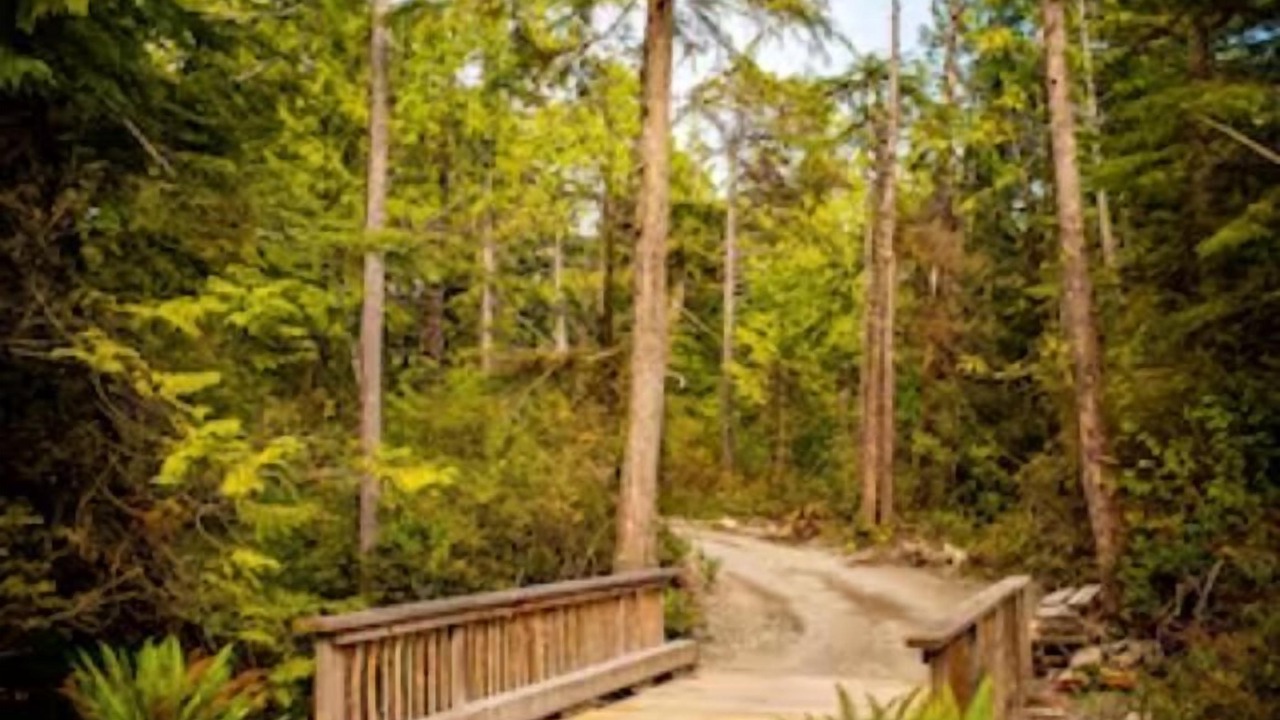 Photo of Others in Ucluelet