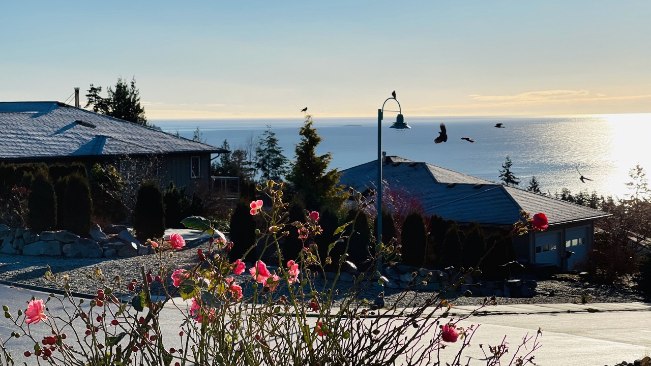 Photo of Outdoor in West Sechelt