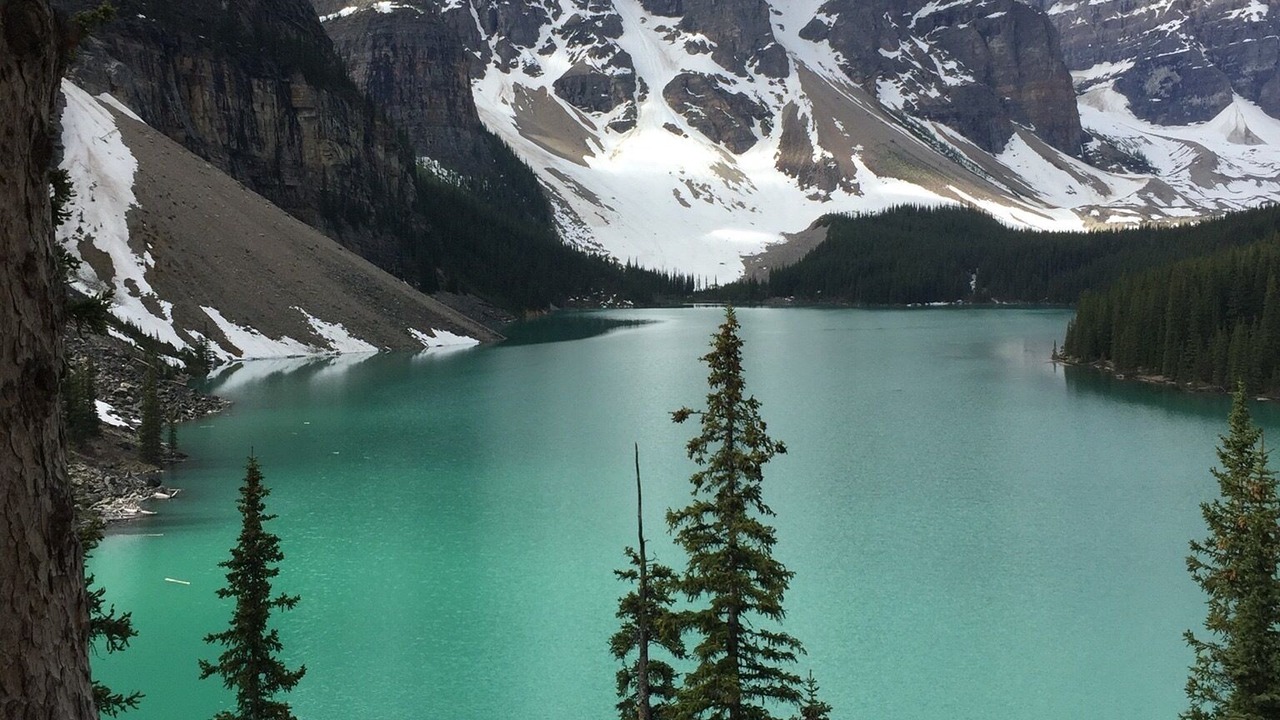 Photo of Others in Canmore