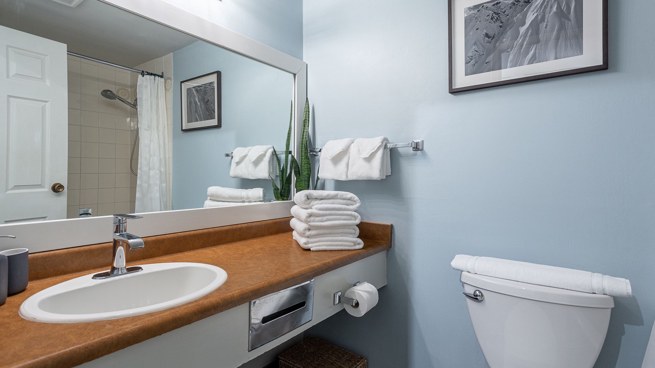 Photo of Bathroom in Whistler Creekside