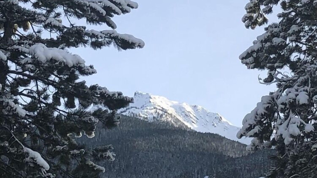 Photo of Others in Whistler Creekside