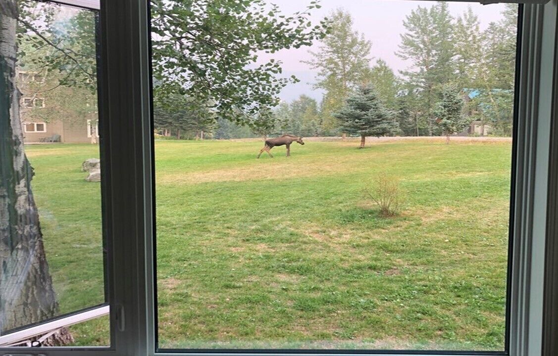 Photo of Others in Fernie
