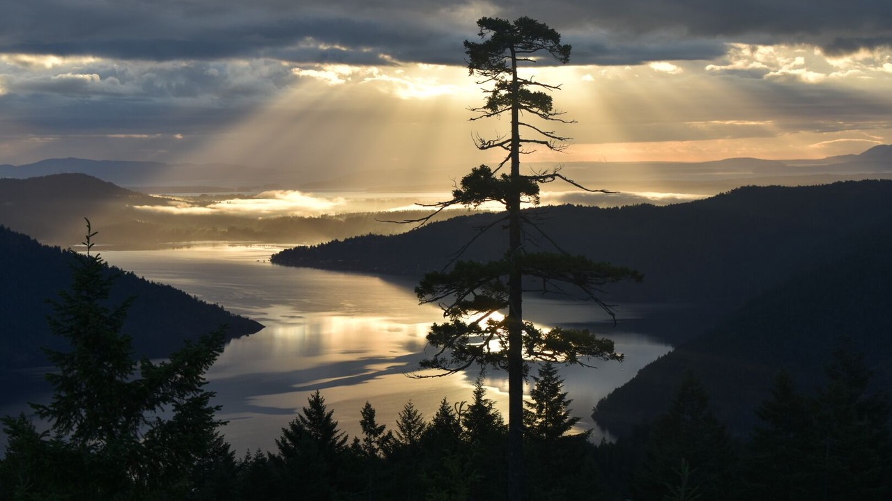 Photo of Others in Malahat