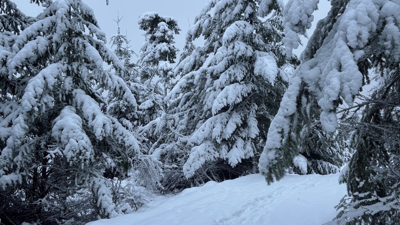 Photo of Others in Malahat
