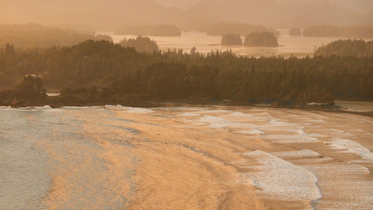 Photo of Others in Tofino