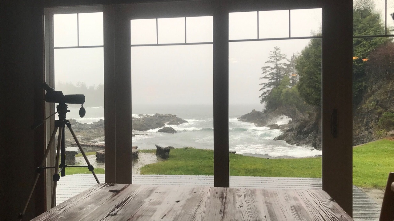 Photo of Others in Bamfield