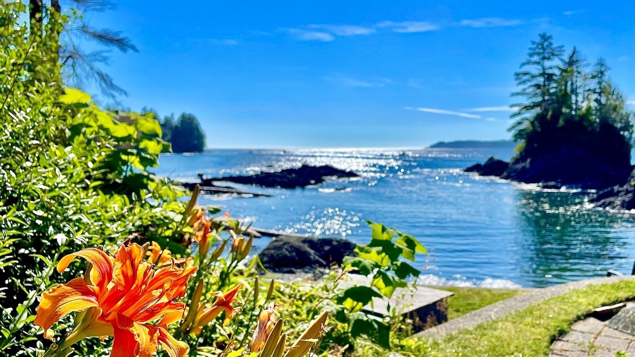 Photo of Others in Bamfield