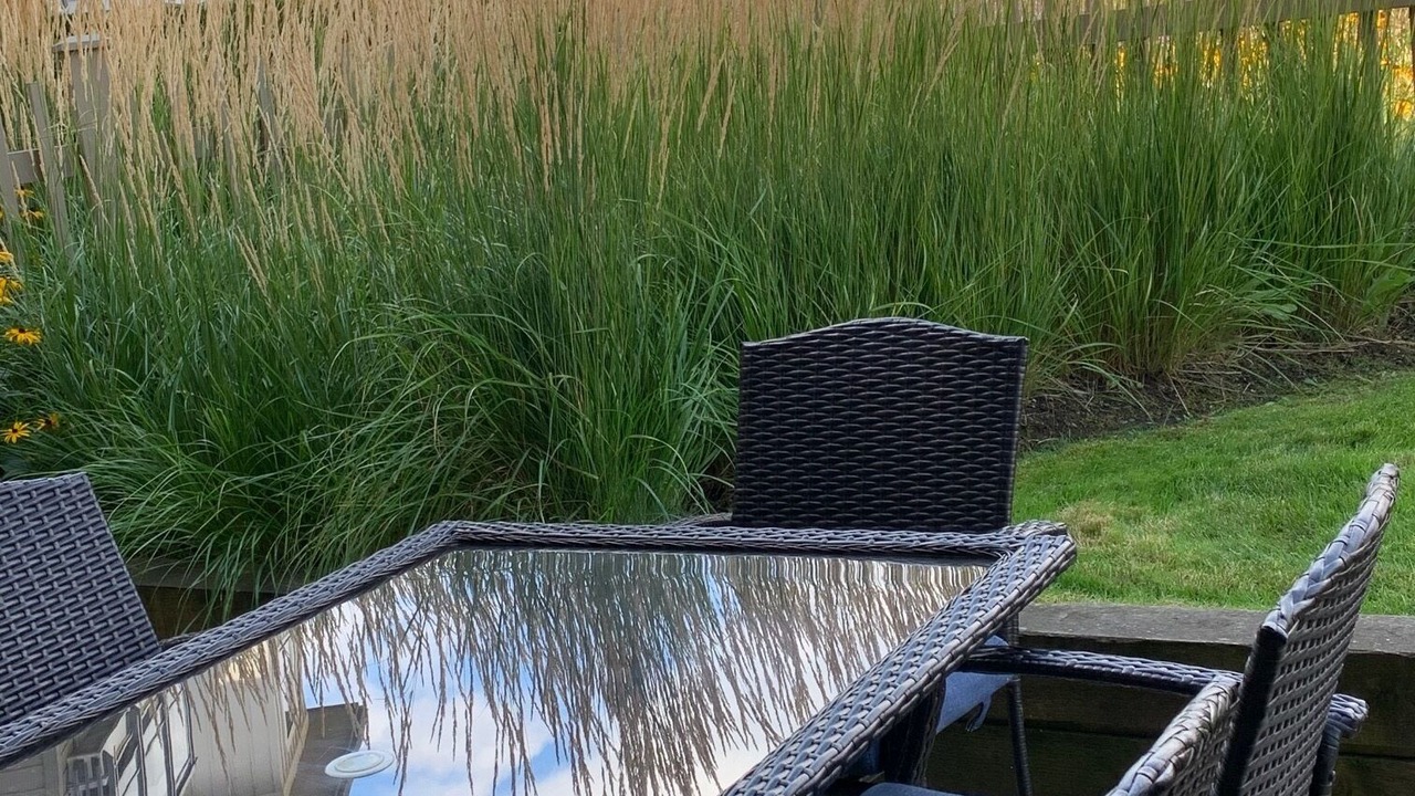 Photo of Outdoor in North End