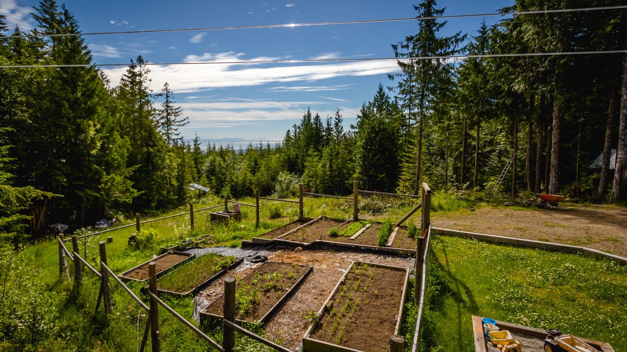 Photo of Outdoor in Courtenay