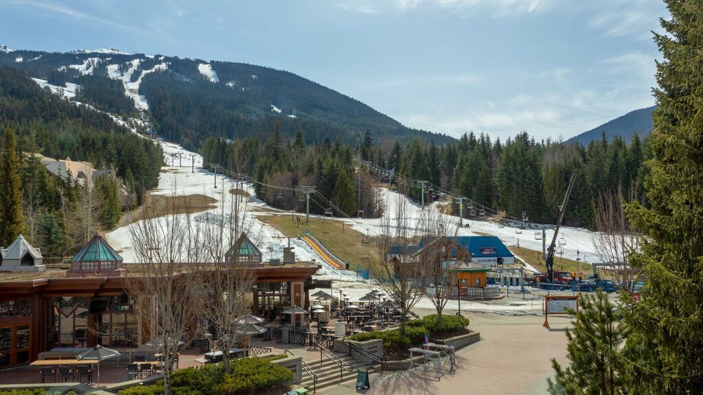 Photo of Others in Blackcomb