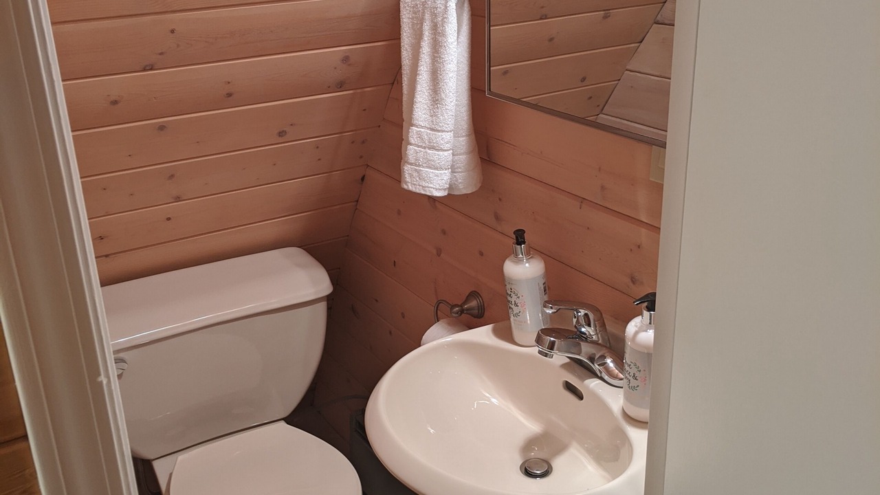 Photo of Bathroom in Silver Star Mountain