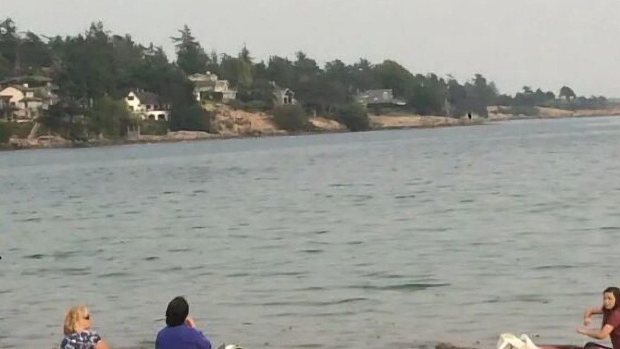 Photo of Others in Saanich East