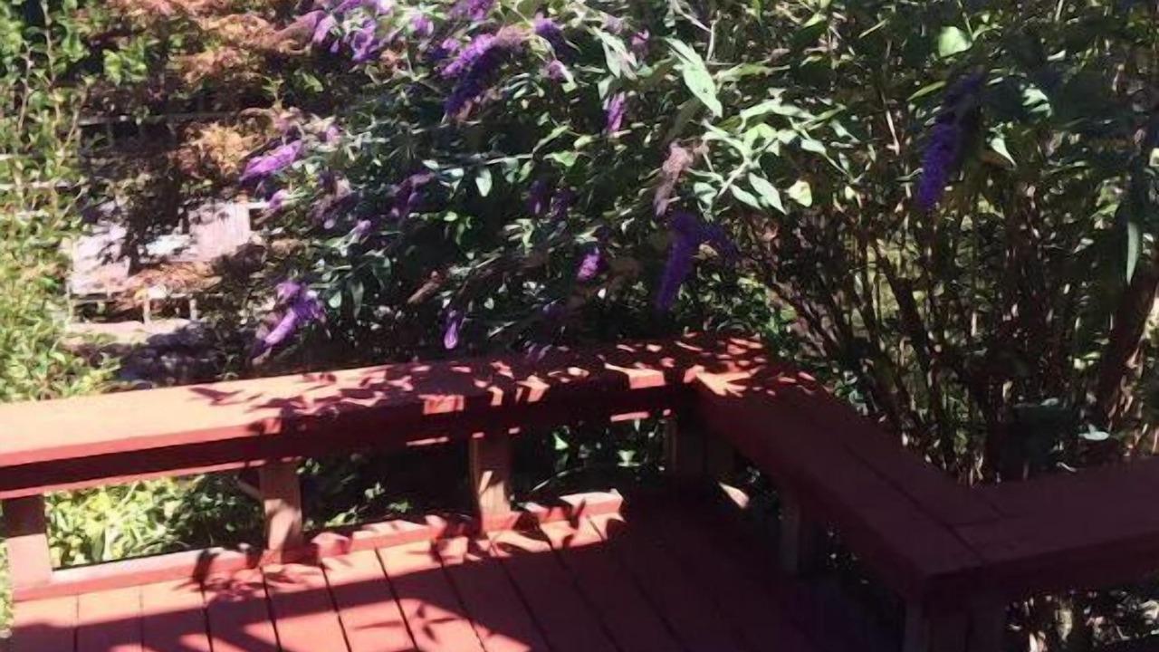 Photo of Outdoor in Saanich East