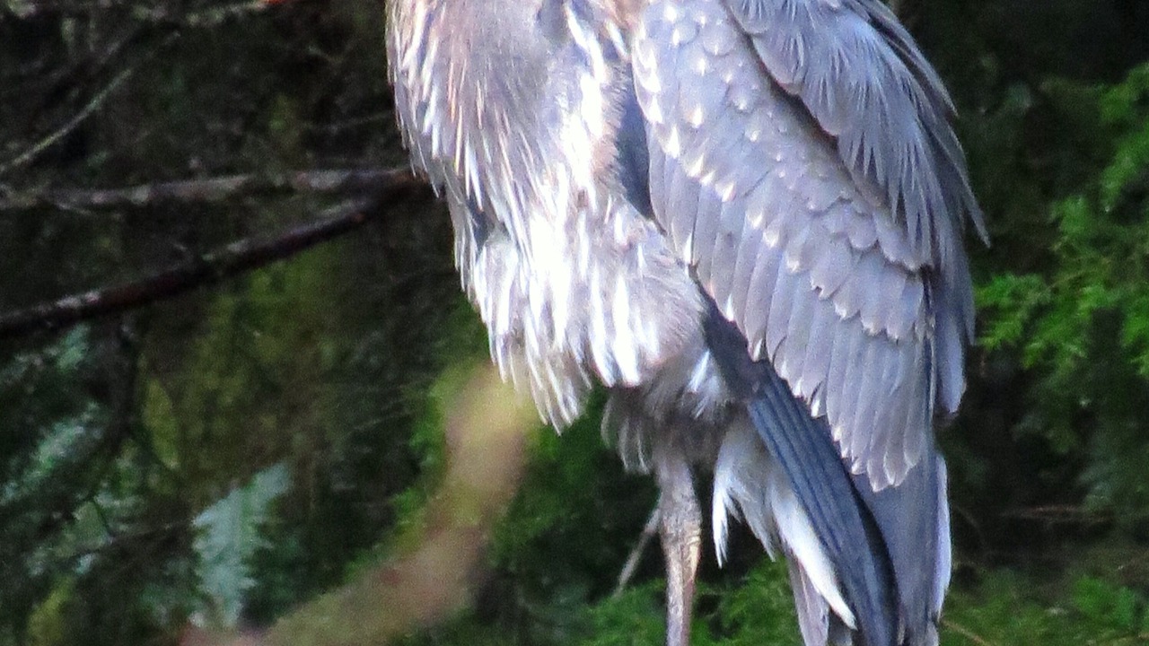 Photo of Others in Campbell River