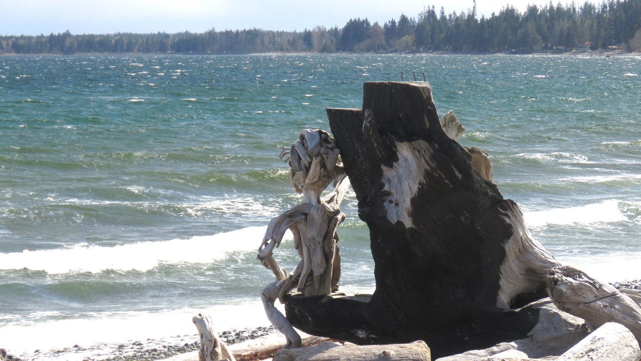 Photo of Others in Campbell River