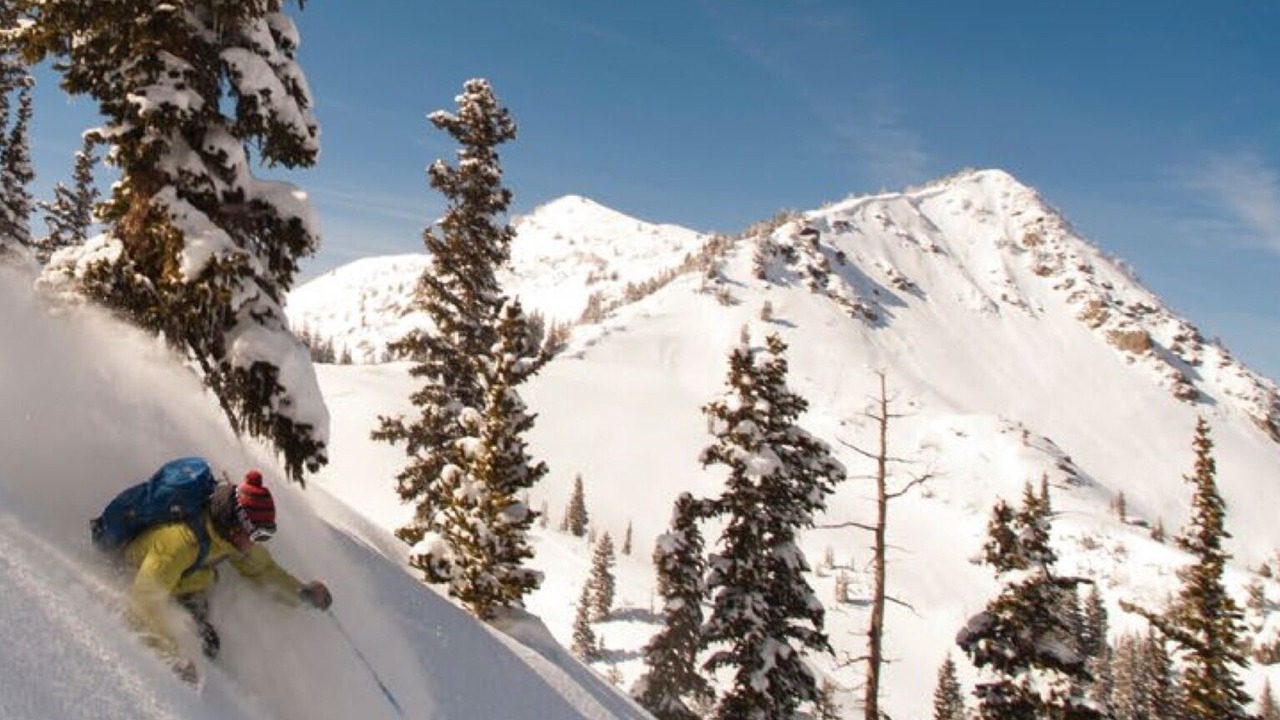 Photo of Others in Foothills