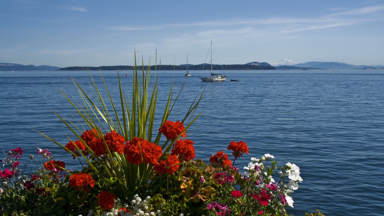 Photo of Others in Victoria