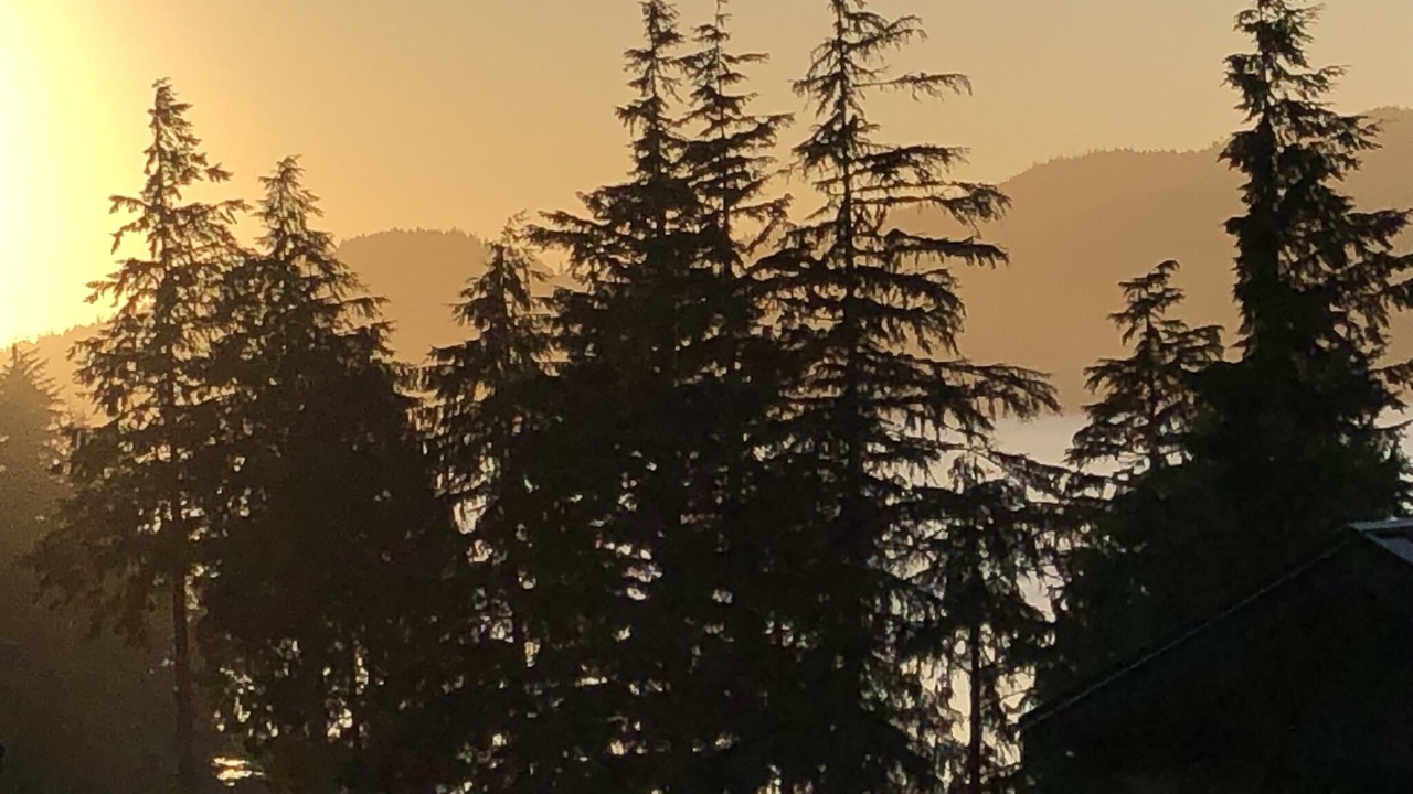 Photo of Others in Port Renfrew