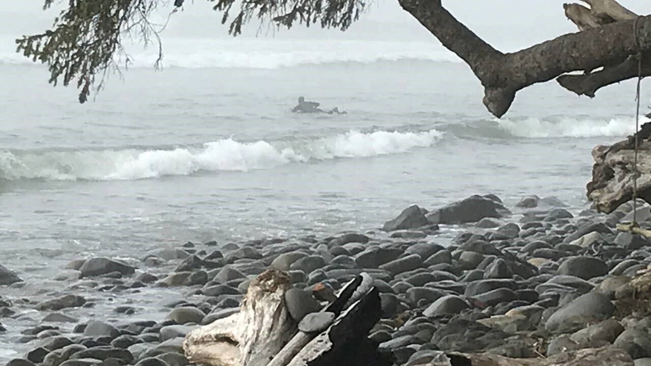Photo of Others in Port Renfrew