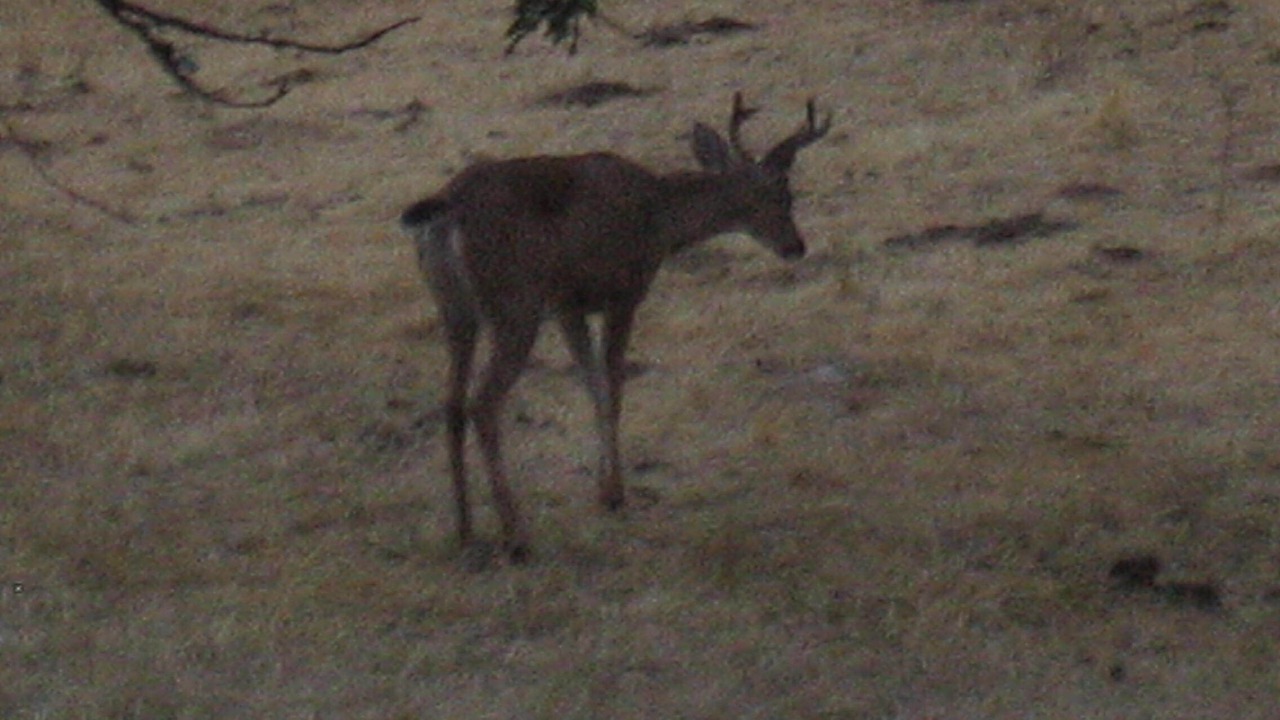 Photo of Outdoor in Langford