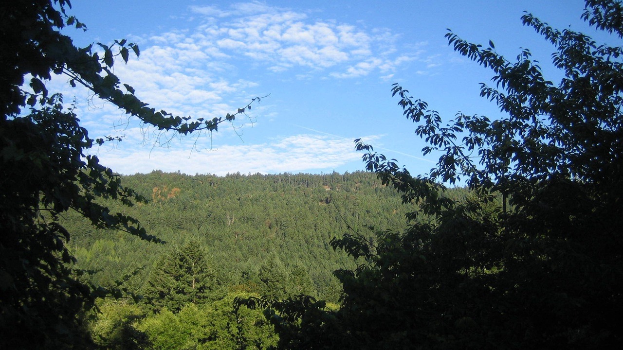 Photo of Outdoor in Langford