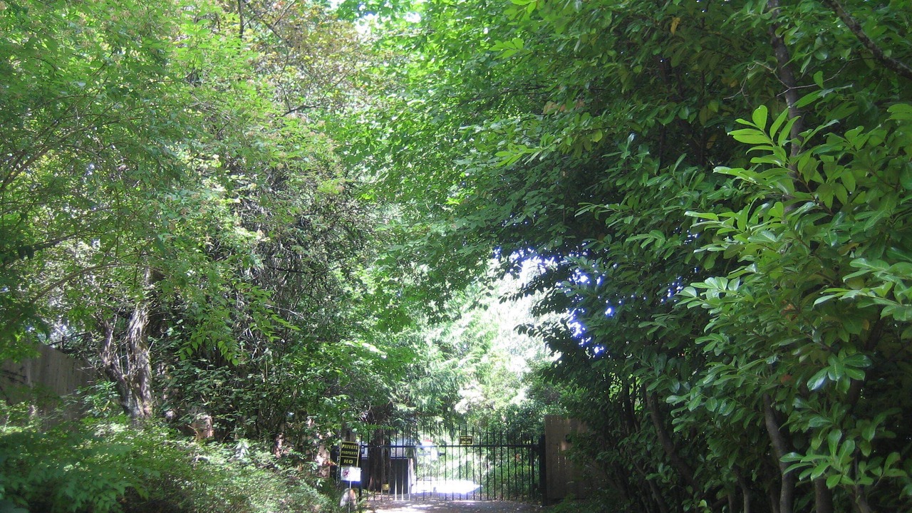Photo of Outdoor in Langford