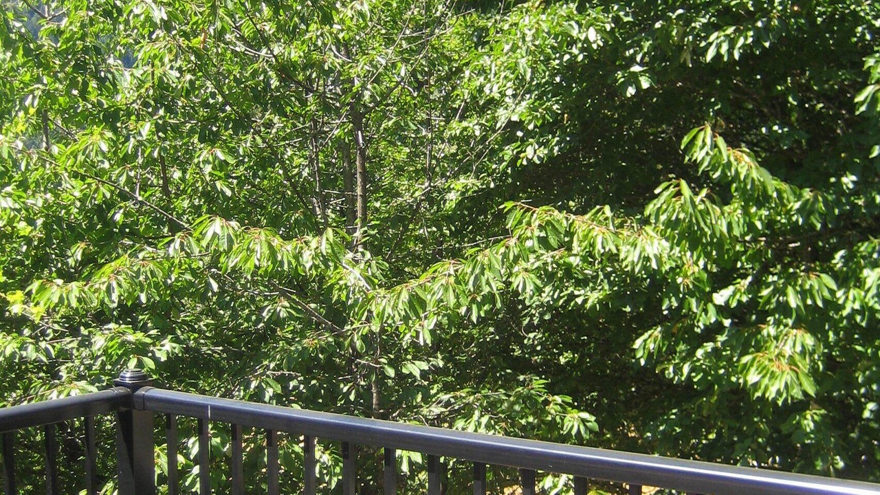 Photo of Outdoor in Langford