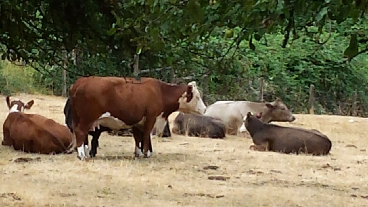 Photo of Outdoor in Langford