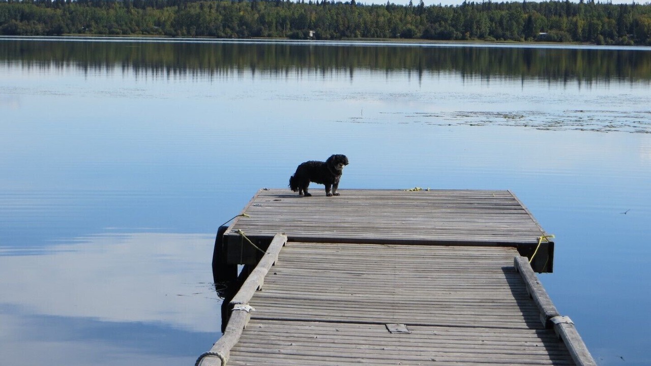 Photo of Outdoor in Regional District of Bulkley-Nechako