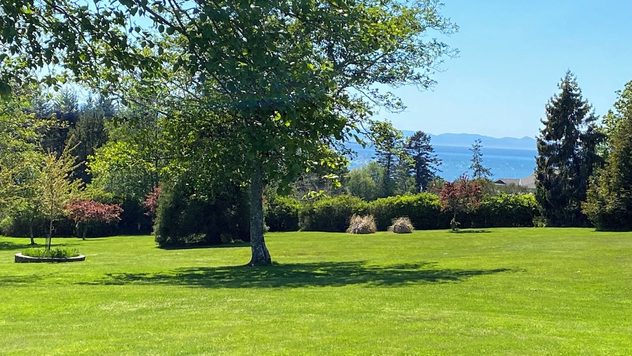 Photo of Others in Otter Point