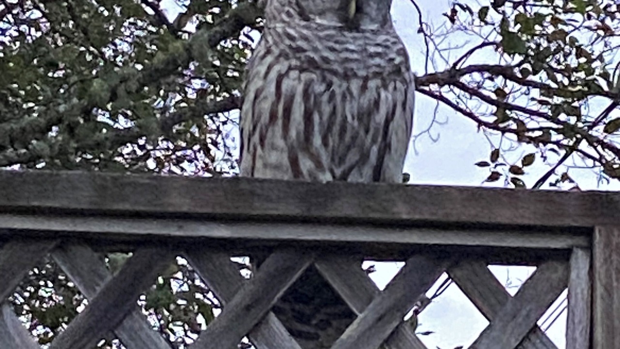 Photo of Others in Otter Point