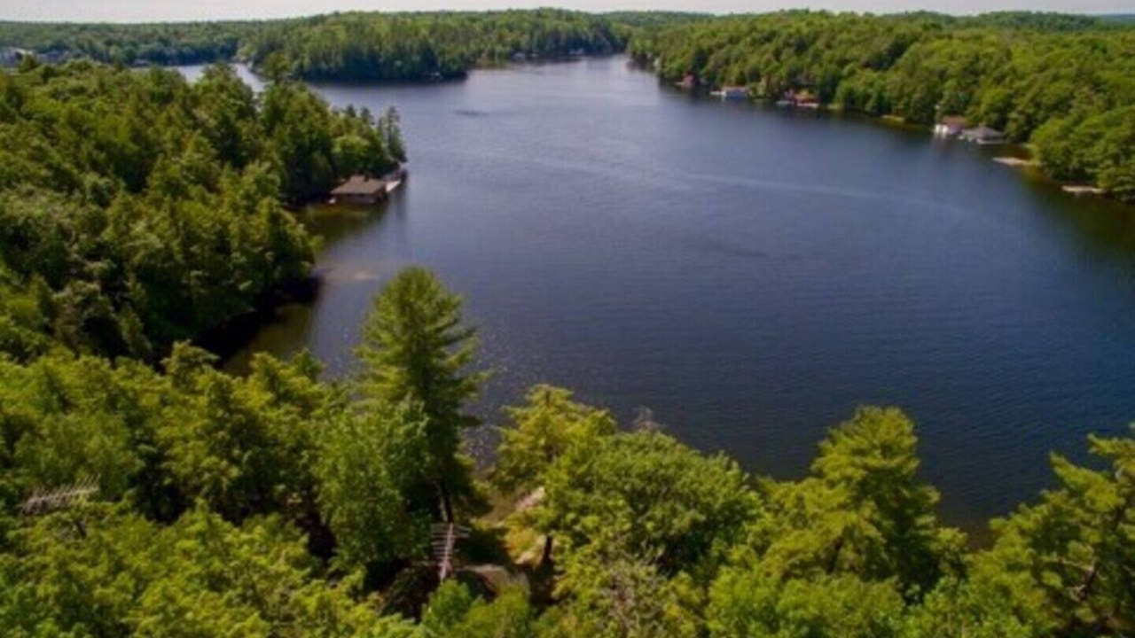 Photo of Outdoor in Muskoka Lakes