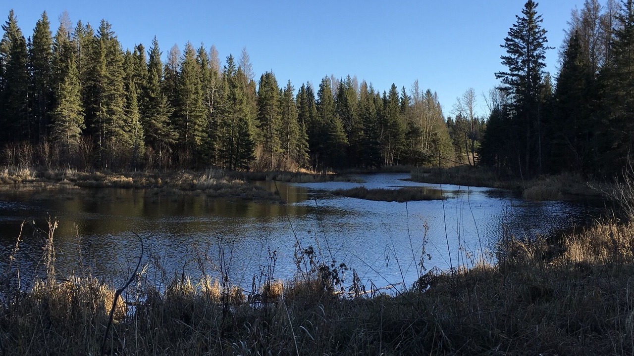 Photo of Outdoor in Erickson